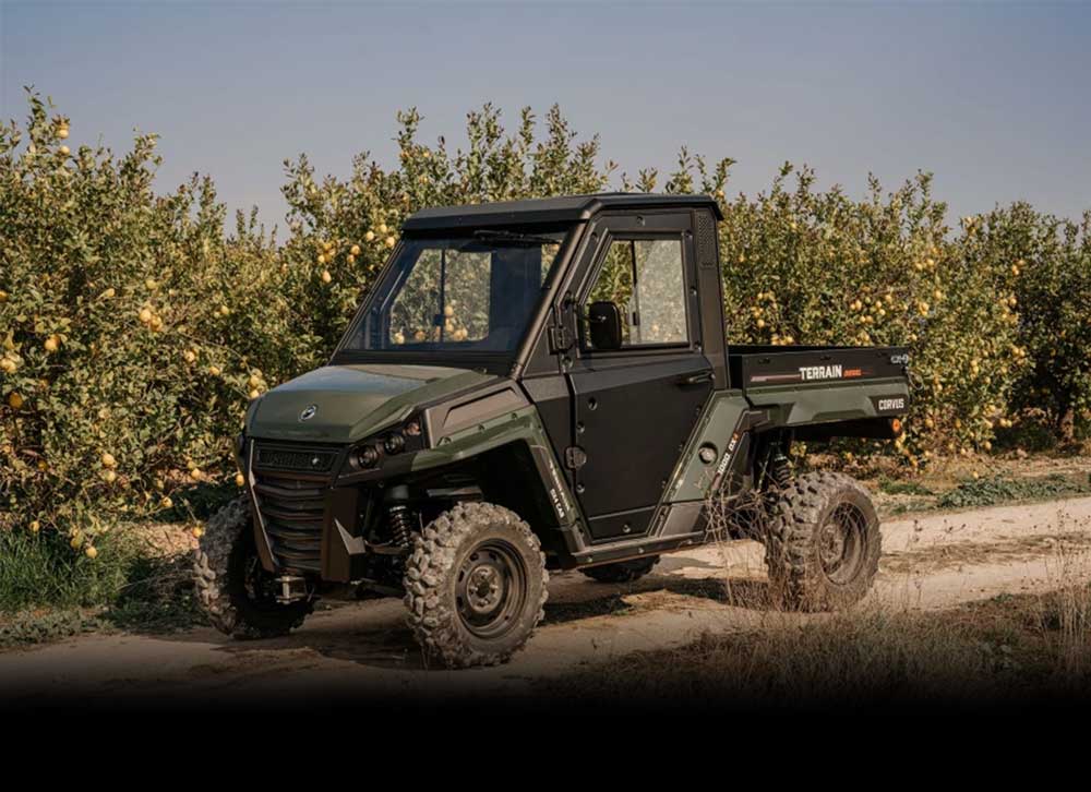 Buggies-Utv-Ocasion Buggies utv de ocasión