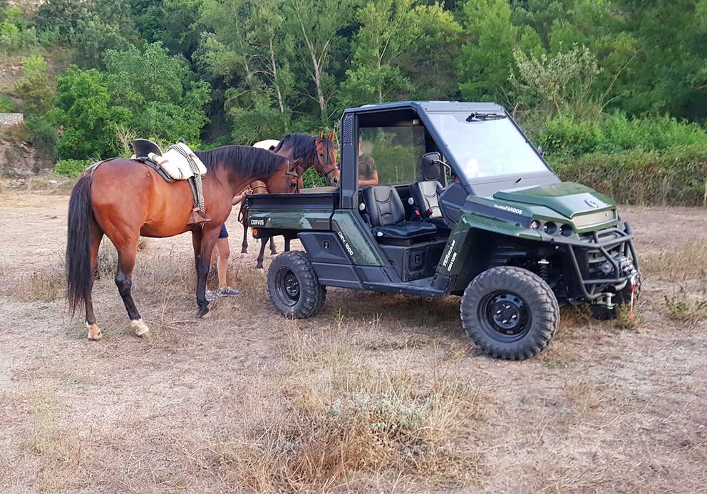 Buggy-Corvus-Para-Agricultura-Ganaderia buggy corvus para agricultura ganaderia